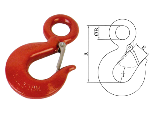 Eye Hoist Hooks With Latches